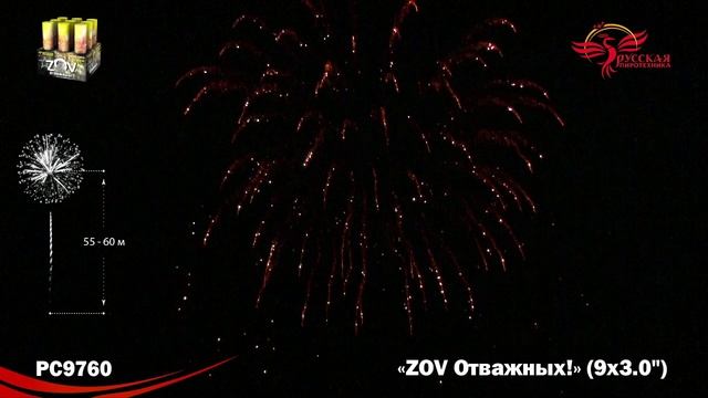 PC9760 ZOV Отважных (3,0х9) смотреть онлайн