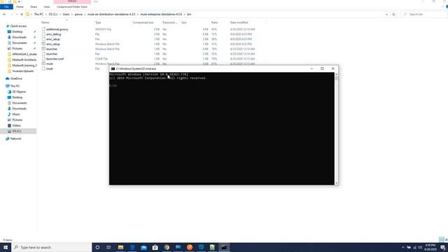 Registering Server with Runtime Manager in Mule 4 смотреть онлайн