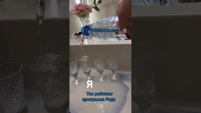 Программа Рода