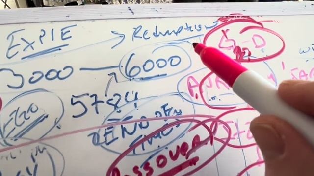 Checking in with Jews. How’s your Reality? смотреть онлайн