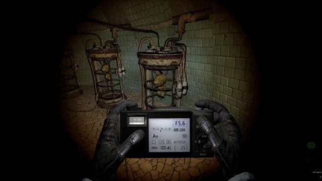 S T A L K E R Call of Pripyat 2021 dsh mod Фото эмбрионов смотреть онлайн