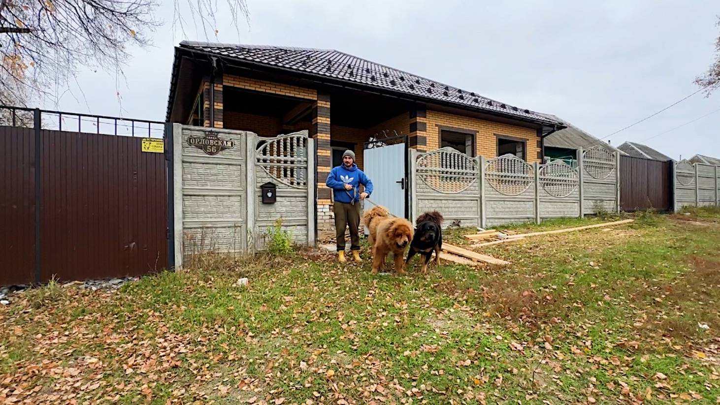 Коровы продолжают все ломать. Что со всем этим делать? Стройка в деревне. Жизнь простых людей. смотреть онлайн
