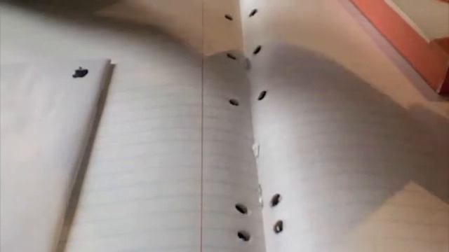 Nike + iPod/ iPhone Unboxing смотреть онлайн