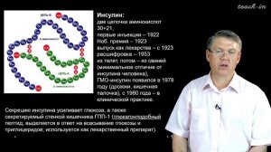 Дубынин В. А. - 100 часов школьной биологии - 1.14. Эндокринная система. Часть 2
