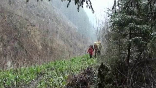 Карпаты-2011 смотреть онлайн