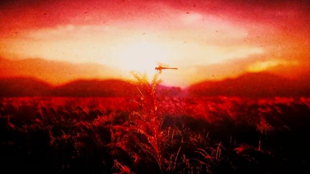 Bearded Legend - Japan (Prod. Hensonn)