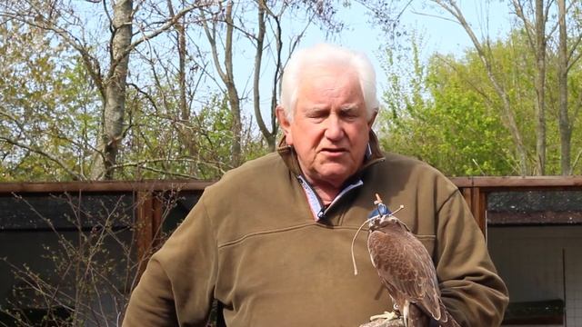 The Lugger Falcon: A Personal Passion, by Bob Dalton смотреть онлайн