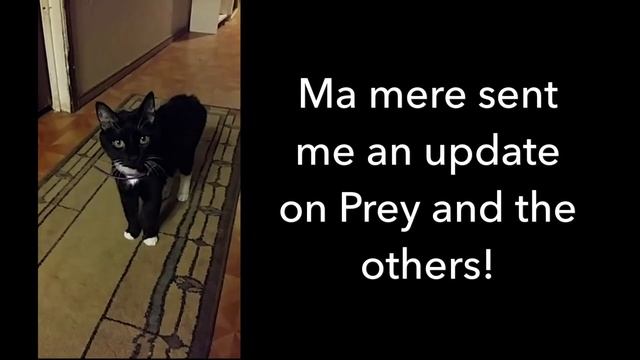 Prey Update #2 - Pretty Eyes смотреть онлайн