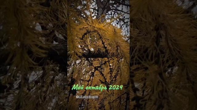 на берегу Оби смотреть онлайн