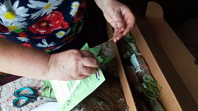 Моя жизнь в деревне. смотреть онлайн