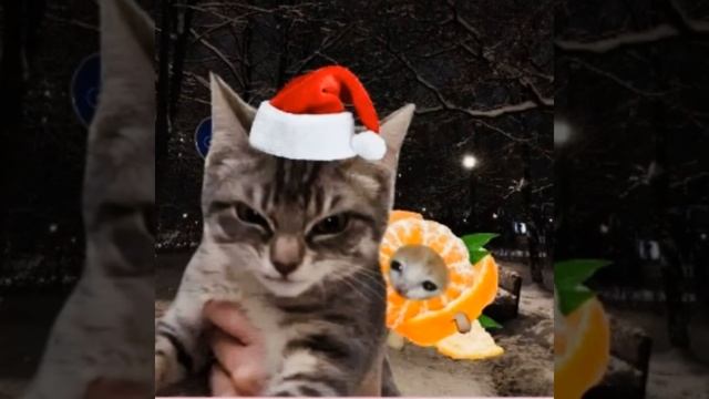 LAST CHRISTMAS PHONK (Sped up) смотреть онлайн