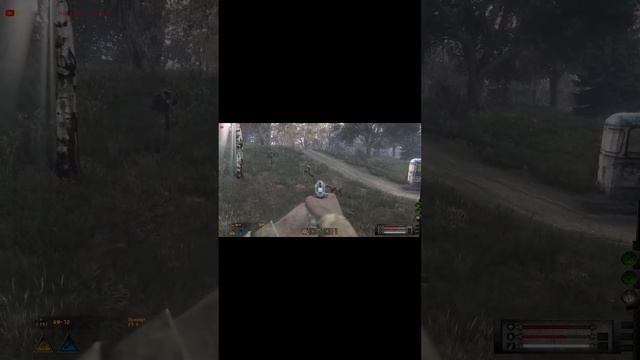 Помощник #stream #stalkerrp #ragnarekplay #dayz #eft #escapefromtarkov