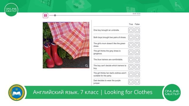 7 класс. Английский язык. Looking for clothes. Part 2. смотреть онлайн