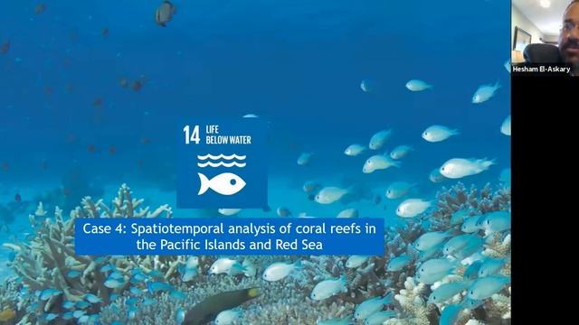 EO addressing SDGS and Global Environmental Challenges смотреть онлайн