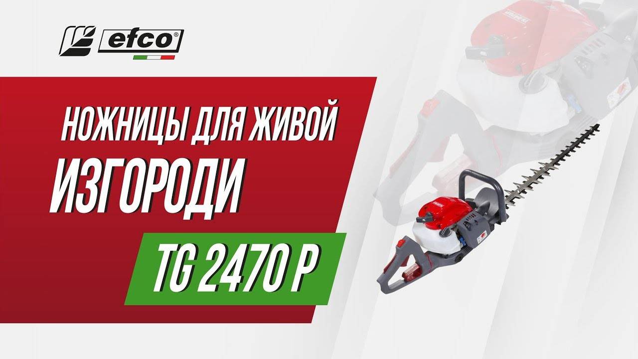 Бензиновые ножницы Efco TG 2470 P – обзор, характеристики, применение смотреть онлайн