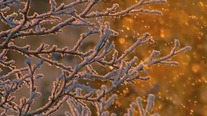 Secret Garden -Frozen in time - Время холодов