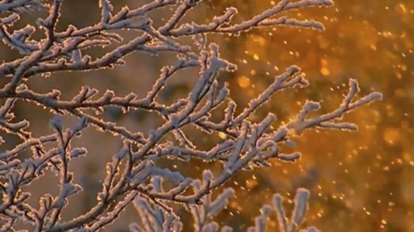 Secret Garden -Frozen in time - Время холодов