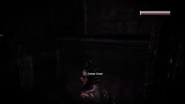 Batman Arkham City - Catwoman vs Two-Face смотреть онлайн