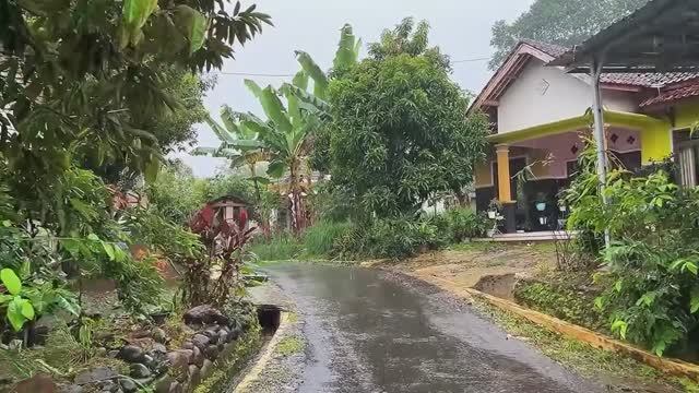 Прогулка под дождем от бессонницы. Сильный дождь в красивой индонезийской деревне. 🌧️☔ смотреть онлайн