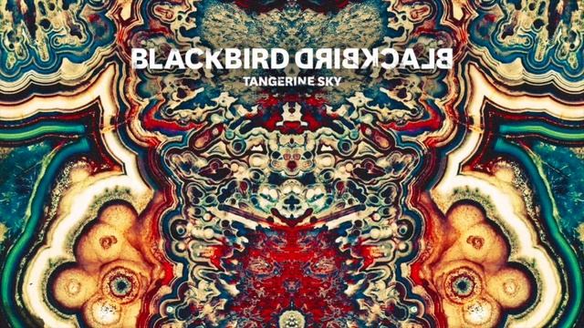 Blackbird Blackbird - Treehouse смотреть онлайн