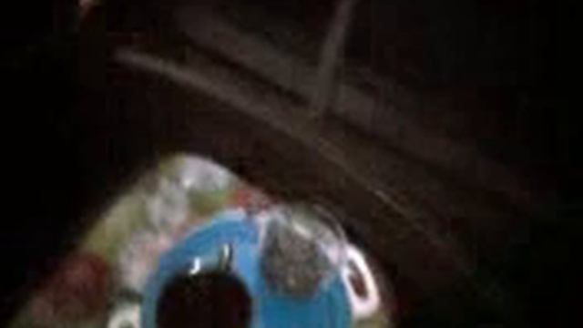LQ, Rus - завтрак 25 февраля2012 смотреть онлайн