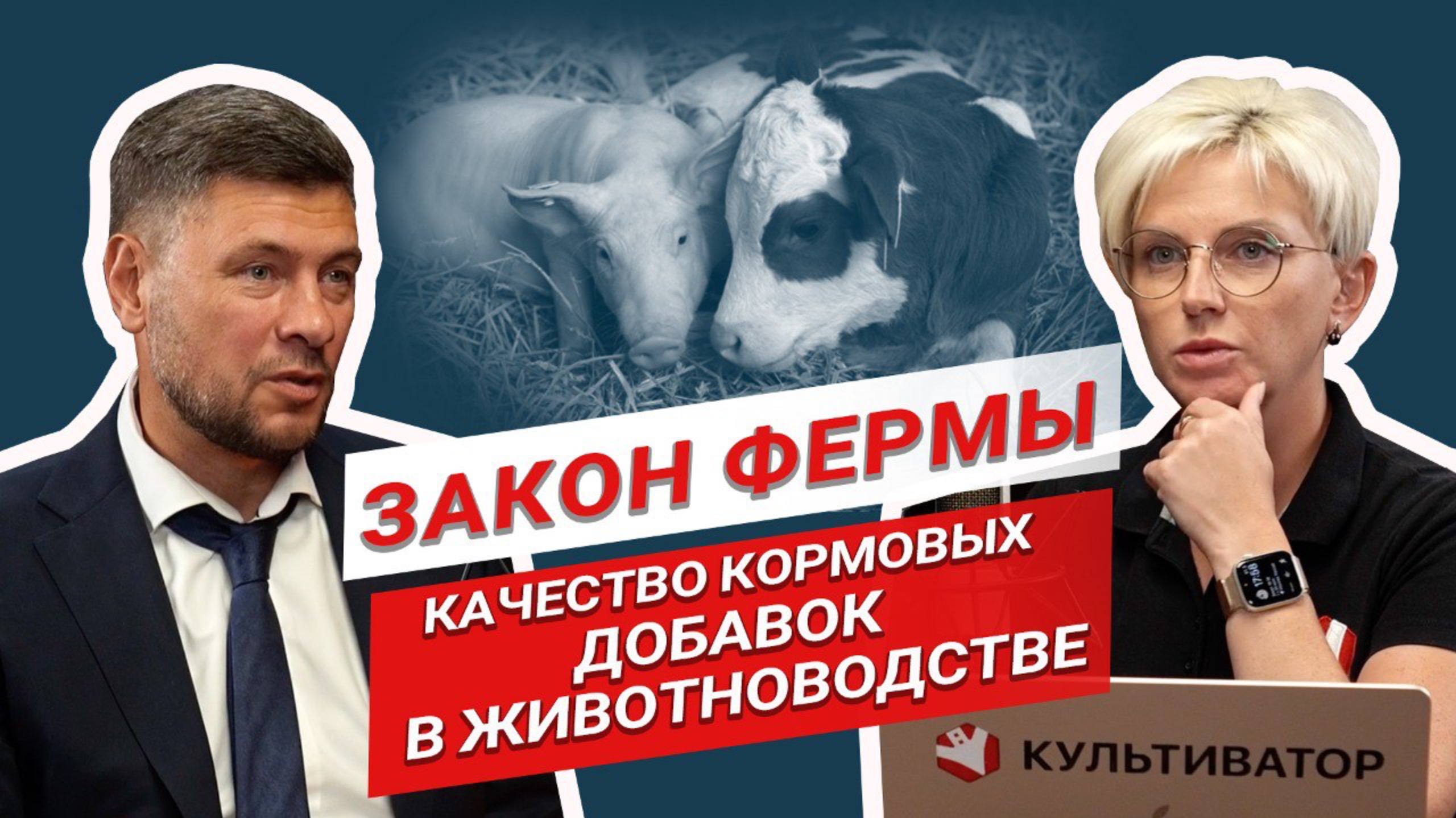 Как производят кормовые добавки? | Животноводство | Закон фермы смотреть онлайн