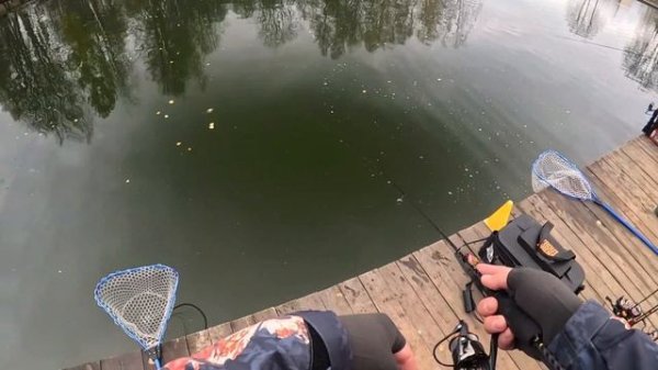 Тестирование Zetrix bliss, Norstream Troutist-x, СЗ fario bronze. ITC 4 этап командных соревнований.