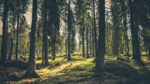 Liquid Drum and Bass Mix #145