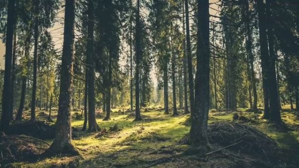 Liquid Drum and Bass Mix #145