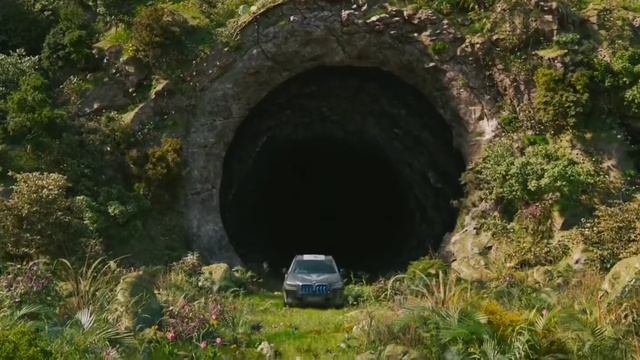 Ormanın Birden Bire Canlanması Türkçe Dublaj Izle