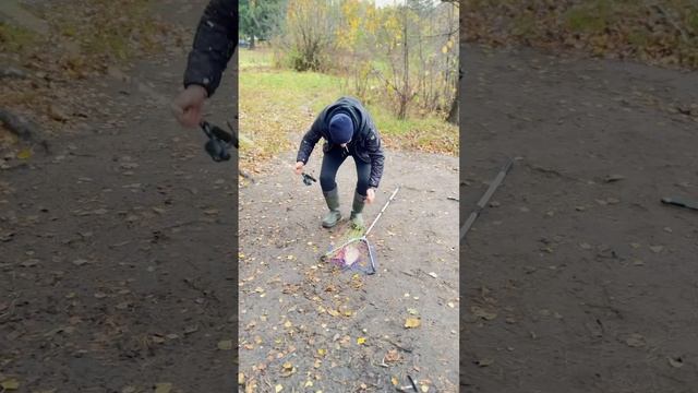 Зов Карасиков )