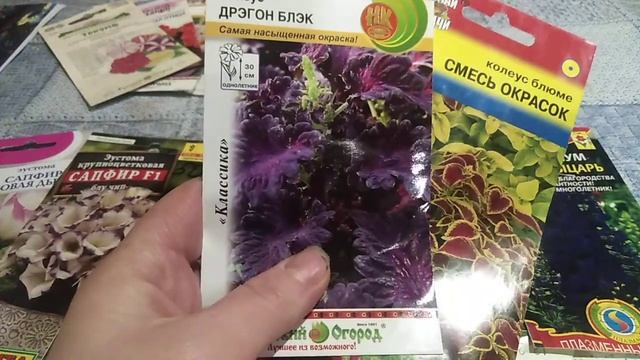 Какие цветы посеять в декабре. Открываем новый сезон. смотреть онлайн