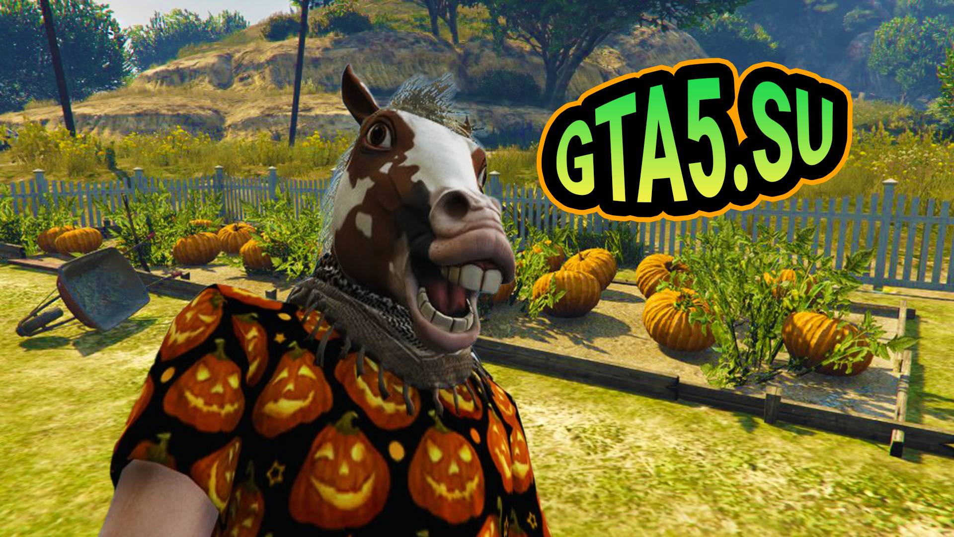Фермер Конь доволен своим огромным урожаем тыкв на Кайо Перико в GTA 5 Online на Хэллоуин смотреть онлайн