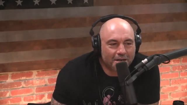 Joey Diaz: How the Mob Does Business in NYC | Joe Rogan смотреть онлайн