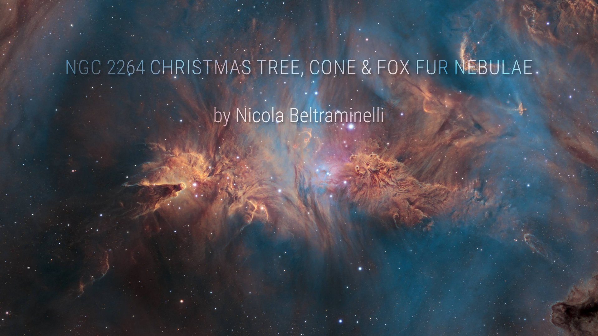 NGC 2264 Christmas tree, Cone and Fox Fur nebulae by Nicola Beltraminelli смотреть онлайн