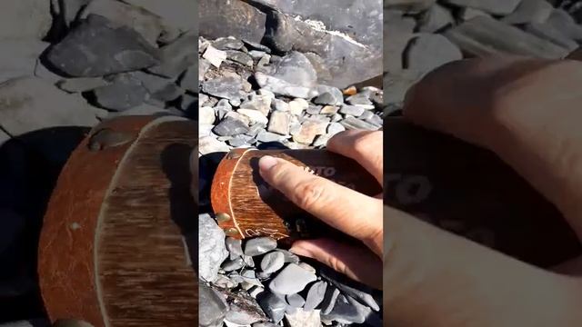 морской клад смотреть онлайн