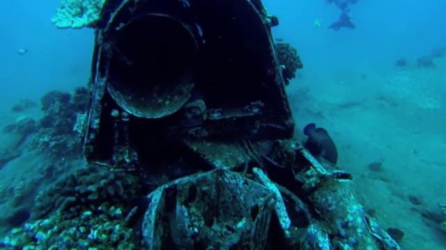 WWII Curtiss SB2C Helldiver, south Maui смотреть онлайн