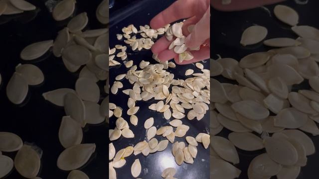 Кабачковые семечки смотреть онлайн