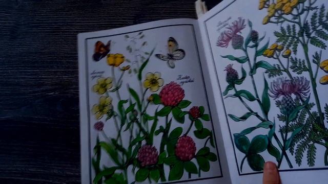 Раскрашенное #11 - Июль 2020 - Чай и кофе, криовулкан, Итачи, Кандинский, фонарик по образцу смотреть онлайн