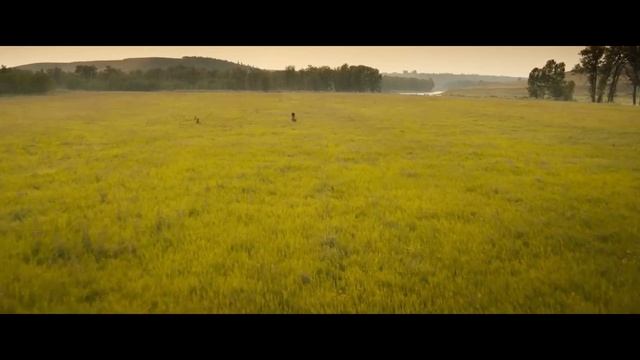 The Prey Edit смотреть онлайн