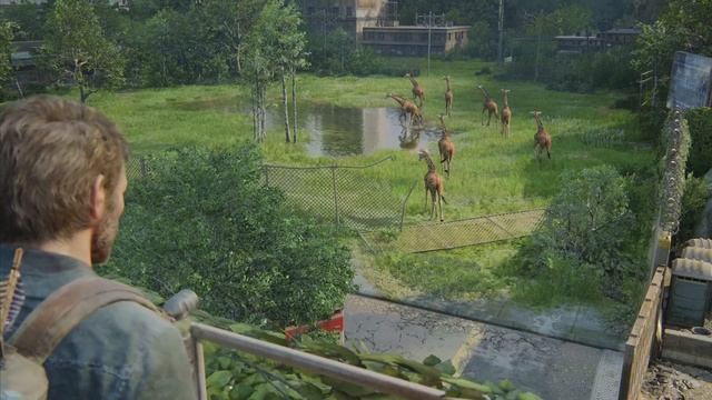 The Giraffe Scene | The Last Of Us Part 1 PS5 60FPS 4K HDR смотреть онлайн