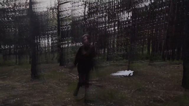 Nina of the woods ( David Lynch - Cold Wind Blowin ) СЮРРЕАЛИСТИЧНЫЙ КЛИП. Снято на Iphone 11 pro смотреть онлайн