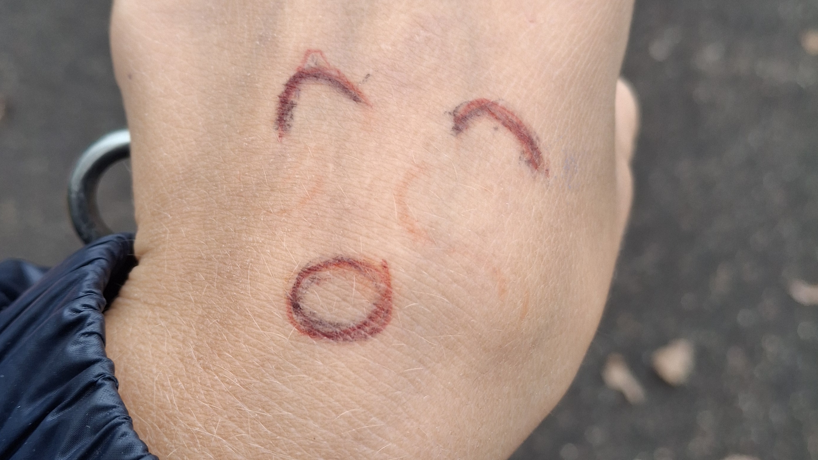 ✨~ MIRA MI MI MI ~✨