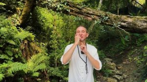 Как стресс разрушает нас изнутри