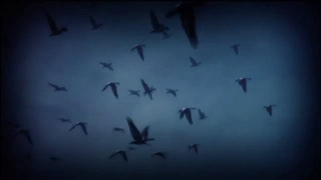 Alan Wake's American Nightmare: Old Gods of Asgard - Balance Slays The Demon смотреть онлайн