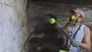 "Будни Федора в деревне". Как обработать подвал от плесени и грибка