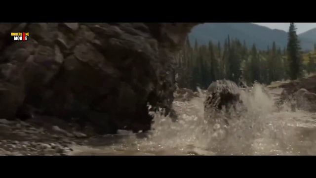 Niat Berburu Malah di buru | alur film Predator Prey 2022 смотреть онлайн