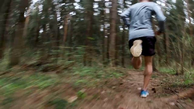 Trail running (для Blizkotrail) смотреть онлайн
