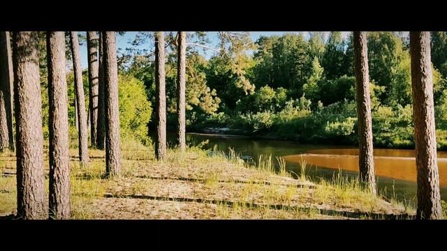 Кокшаги - 2022 смотреть онлайн