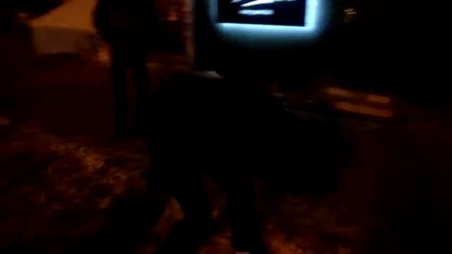 prey 4 u&co смотреть онлайн